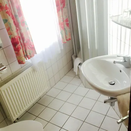 Amadeus Boutique Deutscher Hof 3* Georgenthal (Thuringia)