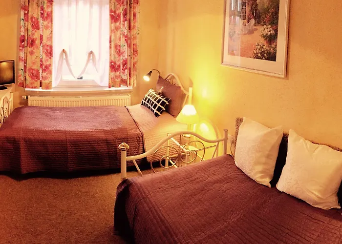 Otel Amadeus Boutique Deutscher Hof Georgenthal (Thuringia)