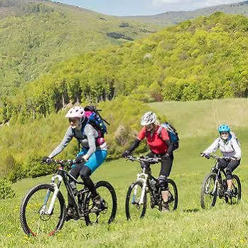 Amadeus Boutique Deutscher Hof